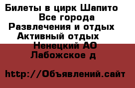 Билеты в цирк Шапито. - Все города Развлечения и отдых » Активный отдых   . Ненецкий АО,Лабожское д.
